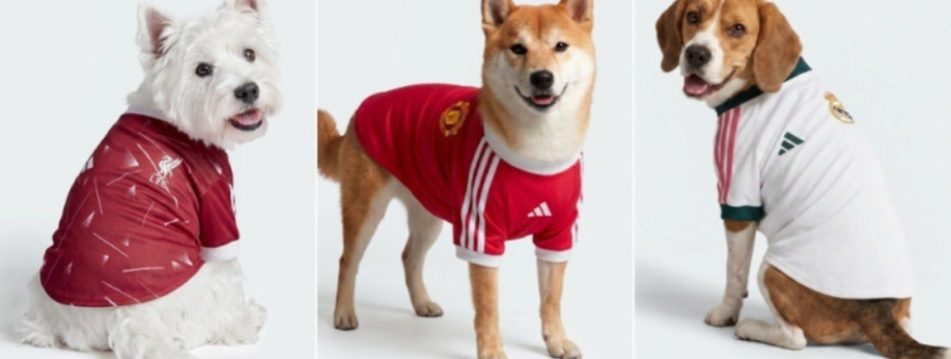 Le prix de 85 $ pour ces maillots fait polémique Le prix de 85 $ pour ces maillots fait polémique