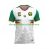 Maillot de Foot Cameroun Homme Neutre 2025 Manche Courte