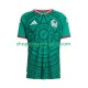 Maillot de Foot Mexique Homme Domicile Coupe du Monde 2026 Manche Courte