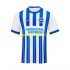 Maillot de Foot Brighton & Hove Albion Homme Domicile 2024-2025 Manche Courte