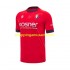Maillot de Foot CA Osasuna Homme Domicile 2024-2025 Manche Courte