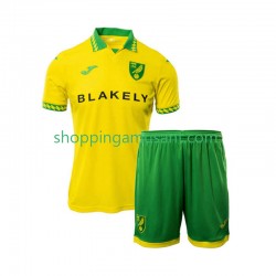 Maillot de Foot Norwich City Enfant Domicile 2025-2026 Manche Courte
