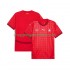 Maillot de Foot Suisse Homme Domicile 2025-2026 Manche Courte