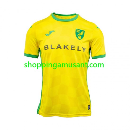 Maillot de Foot Norwich City Homme Domicile 2024-2025 Manche Courte