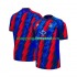 Maillot de Foot Crystal Palace Homme Neutre 2026-2027 Manche Courte