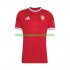 Maillot de Foot Tchéquie Homme Domicile 2026-2027 Manche Courte