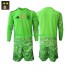 Maillot de Foot Espagne Gardien Enfant Neutre 2026-2027 Manche Longue