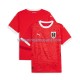 Maillot de Foot Autriche Homme Domicile Euro 2024 Manche Courte