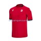 Maillot de Foot Georgia Homme Neutre Euro 2024 Manche Courte