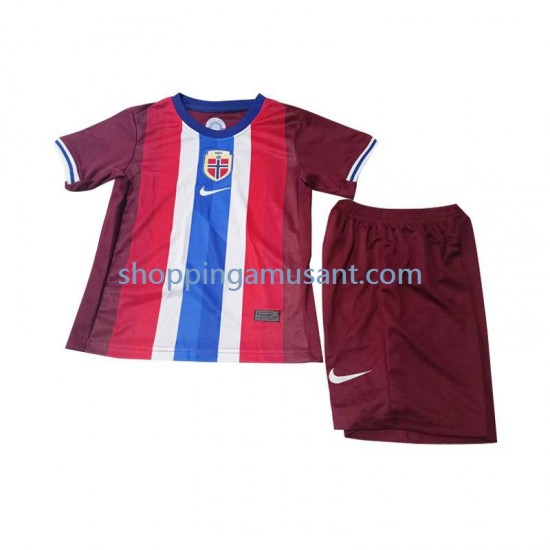 Maillot de Foot Norvège Enfant Domicile 2024 Manche Courte