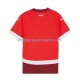 Maillot de Foot Suisse Homme Domicile Euro 2024 Manche Courte