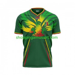 Maillot de Foot Mali Homme Extérieur 2024 Manche Courte