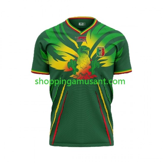 Maillot de Foot Mali Homme Extérieur 2024 Manche Courte