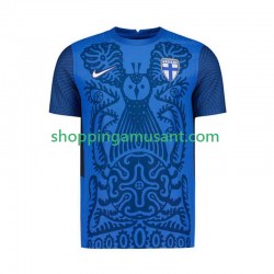 Finlande Homme Extérieur 2025 Manche Courte Maillot de Foot