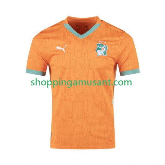 Côte d'Ivoire Homme Domicile 2025 Manche Courte Maillot de Foot