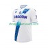 Maillot de Foot AJ Auxerre Homme Domicile 2024-2025 Manche Courte