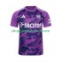 Maillot de Foot Fulham Homme Neutre 2024-2025 Manche Courte