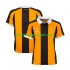Maillot de Foot Hull City Homme Domicile 2026-2027 Manche Courte