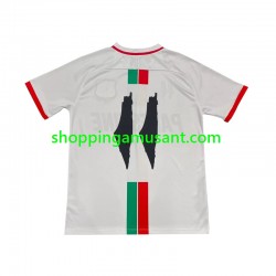 Maillot de Foot Club Deportivo Palestino Center Stripre Homme Extérieur 2024-2025 Manche Courte