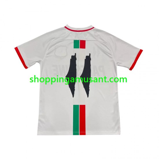 Maillot de Foot Club Deportivo Palestino Center Stripre Homme Extérieur 2024-2025 Manche Courte