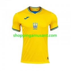 Maillot de Foot Ukraine Homme Domicile Euro 2024 Manche Courte