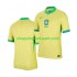 Maillot de Foot Brésil Copa America 2024 Homme Domicile  Manche Courte