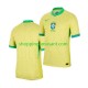 Maillot de Foot Brésil Copa America 2024 Homme Domicile  Manche Courte
