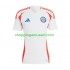 Maillot de Foot Chili Copa America 2024 Homme Extérieur  Manche Courte