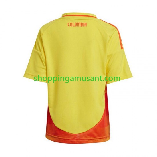 Maillot de Foot Colombie Copa America 2024 Homme Domicile  Manche Courte