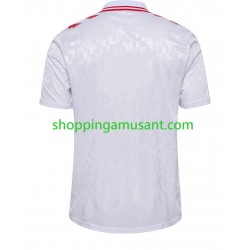 Maillot de Foot Danemark Homme Extérieur Euro 2024 Manche Courte