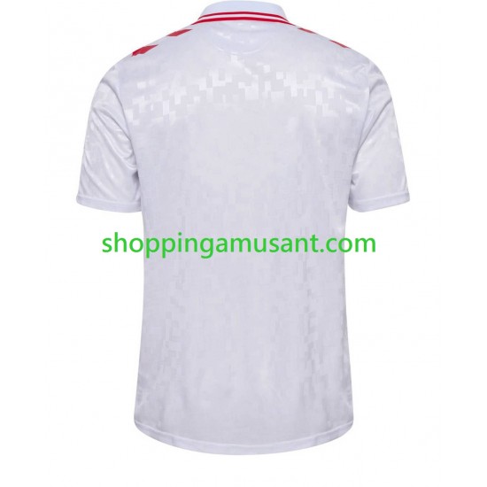 Maillot de Foot Danemark Homme Extérieur Euro 2024 Manche Courte