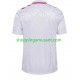 Maillot de Foot Danemark Homme Extérieur Euro 2024 Manche Courte