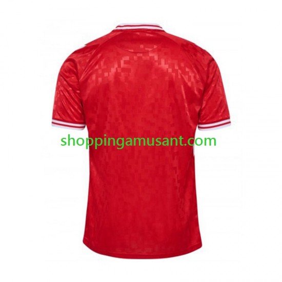 Maillot de Foot Danemark Homme Domicile Euro 2024 Manche Courte