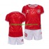 Maillot de Foot Danemark Enfant Domicile Euro 2024 Manche Courte