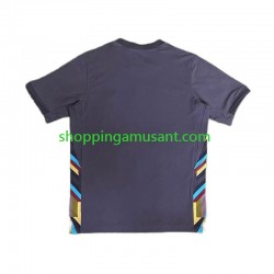 Maillot de Foot Angleterre Homme Extérieur Euro 2024 Manche Courte