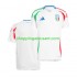Maillot de Foot Italie Homme Extérieur Euro 2024 Manche Courte