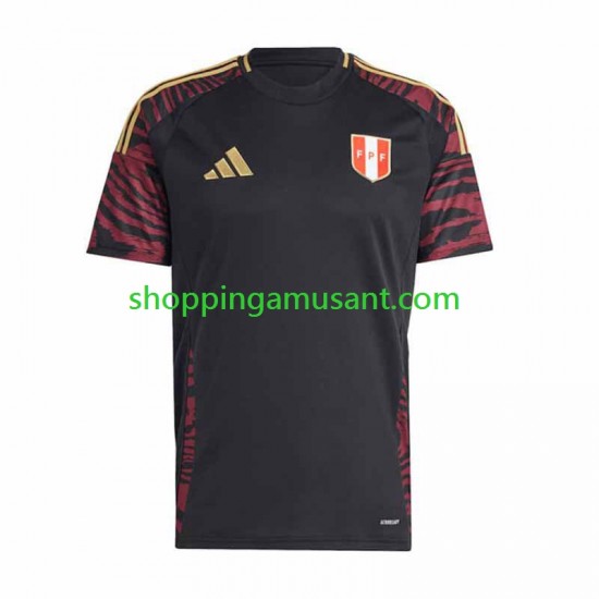 Maillot de Foot Pérou Copa America 2024 Homme Extérieur  Manche Courte