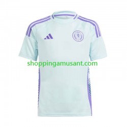 Maillot de Foot Écosse Homme Extérieur Euro 2024 Manche Courte