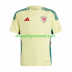 Maillot de Foot Pays de Galles Homme Extérieur 2024 Manche Courte