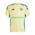 Maillot de Foot Pays de Galles Homme Extérieur 2024 Manche Courte