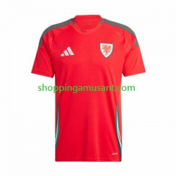 Maillot de Foot Pays de Galles Homme Domicile 2024 Manche Courte