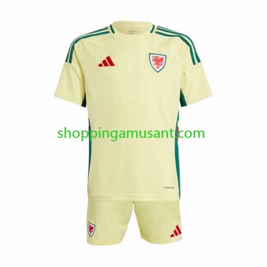 Maillot de Foot Pays de Galles Enfant Extérieur 2024 Manche Courte