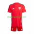 Maillot de Foot Pays de Galles Enfant Domicile 2024 Manche Courte