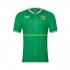 Maillot de Foot Irlande Homme Domicile 2023 Manche Courte