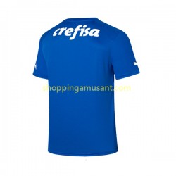 Maillot de Foot Palmeiras Gardien Homme Domicile 2023-2024 Manche Courte