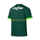 Maillot de Foot Palmeiras Homme Domicile 2023-2024 Manche Courte