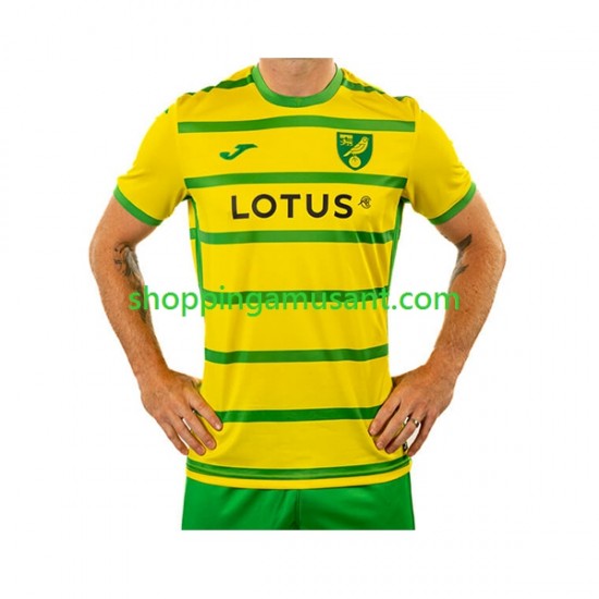 Maillot de Foot Norwich City Homme Domicile 2023-2024 Manche Courte