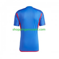 Maillot de Foot Olympique Lyonnais Homme Extérieur 2023-2024 Manche Courte