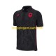 Maillot de Foot Albanie Homme Neutre 2023 Manche Courte