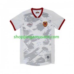 Maillot de Foot Venezuela Homme Extérieur 2023 Manche Courte